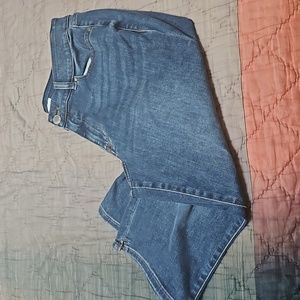Lane Bryant Capri Jeans